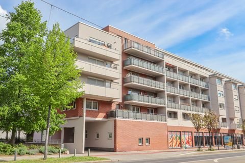Dresden Wohnungen, Dresden Wohnung kaufen