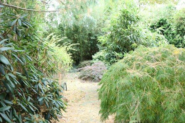 Unseinsehbarer geht es nicht. 