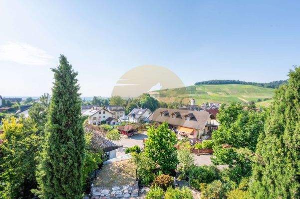 haus-baden-baden-neuweier-aussicht-wolf-immobilien
