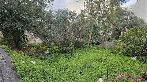 Kreta Bauernhöfe, Landwirtschaft, Kreta Forstwirtschaft