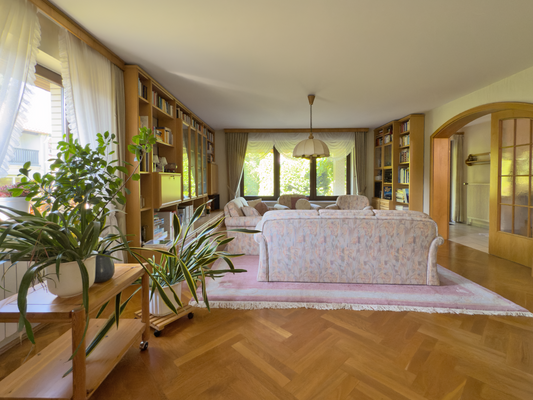 Wohn- und Essbereich