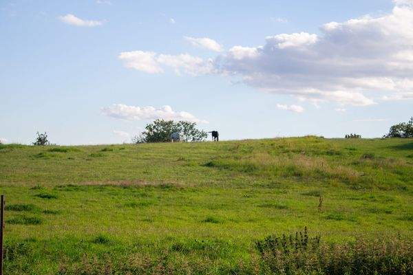 Koppel andere Straßenseite