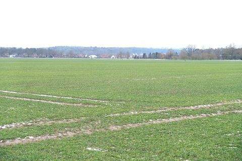 Hoyerhagen Bauernhöfe, Landwirtschaft, Hoyerhagen Forstwirtschaft