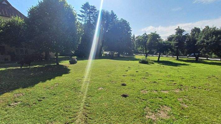 Weitläufiges Grundstück