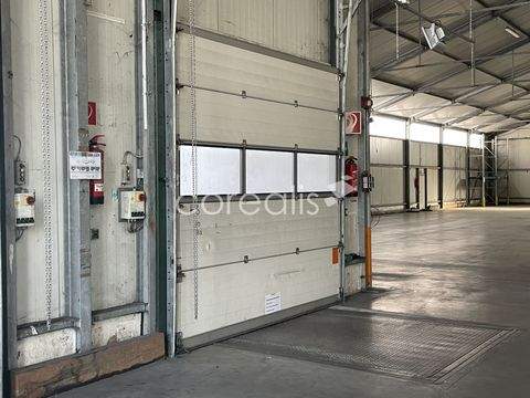 Oberhausen Halle, Oberhausen Hallenfläche