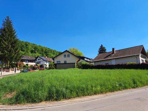 Neckargemünd Grundstücke, Neckargemünd Grundstück kaufen