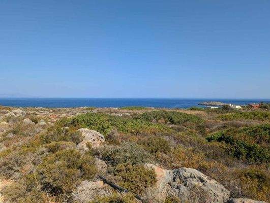 Kreta, Stavros: Küstengrundstücke mit Baugenehmigung und Meerblick zu verkaufen