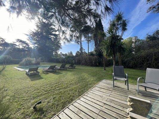 Blick zum Garten.jpg