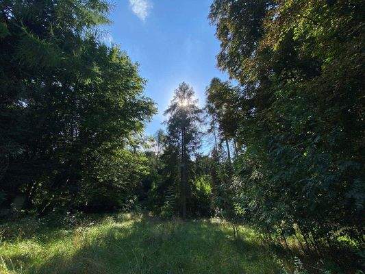 Schlosspark (10).JPG