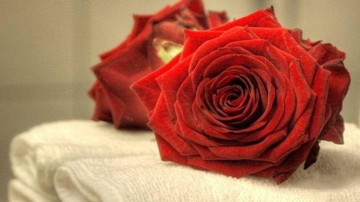 Rose Handtuch.jpg