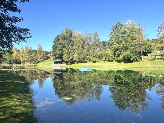 Umgebungsaufnahme im Sommer 