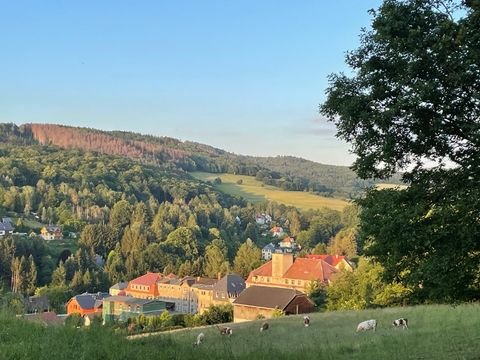 Sebnitz Häuser, Sebnitz Haus kaufen