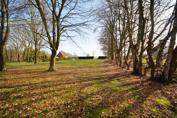 Grundstück nach vorne