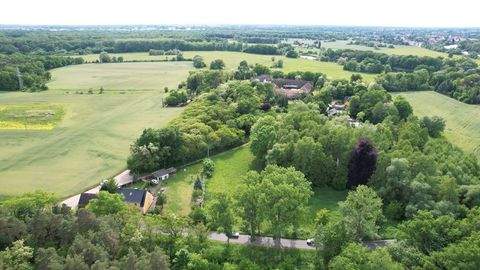 Jeßnitz / Roßdorf Bauernhöfe, Landwirtschaft, Jeßnitz / Roßdorf Forstwirtschaft