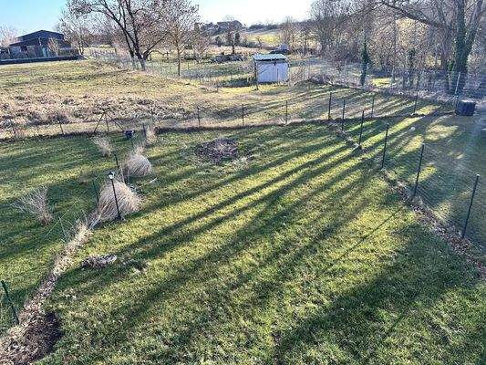 Garten zur Mietwohnung