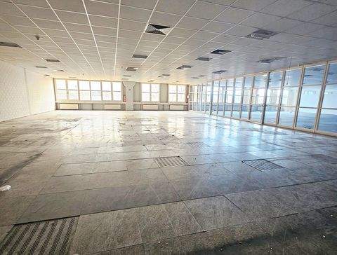 Rastatt Halle, Rastatt Hallenfläche