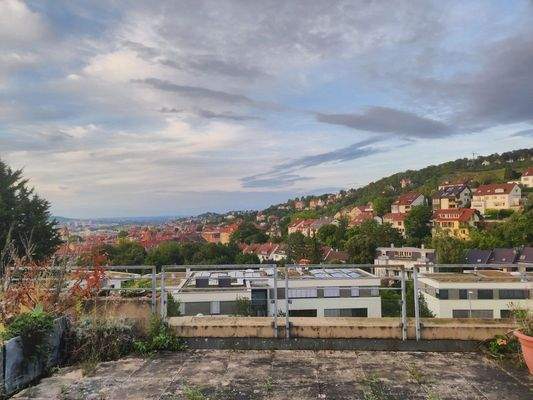 Blick von der Terrasse