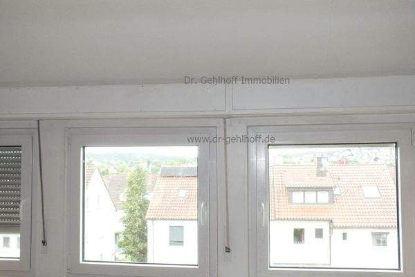 Fenster im DG