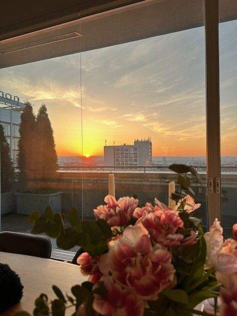 Dresden Wohnungen, Dresden Wohnung mieten