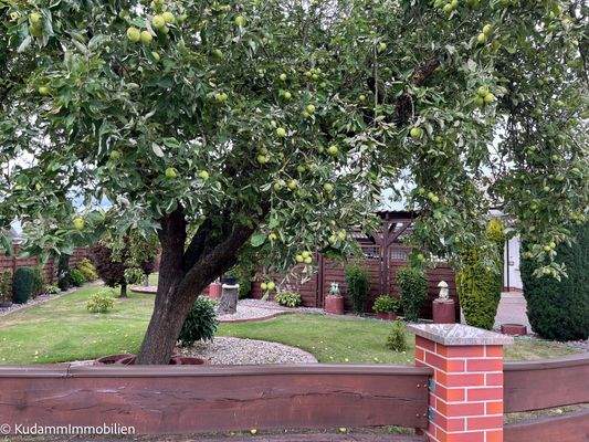 Gartenansicht von der Straße