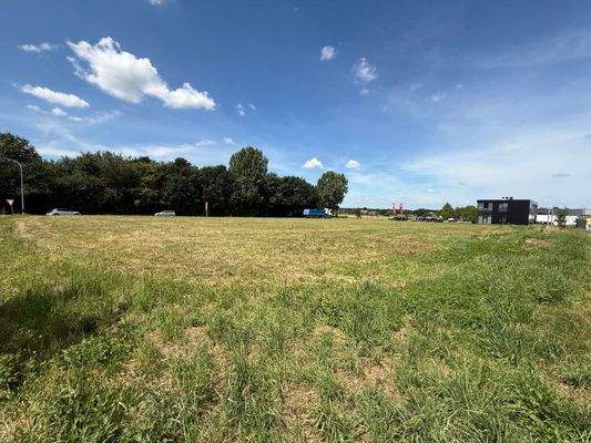 Blick aus Wohngebiet heraus