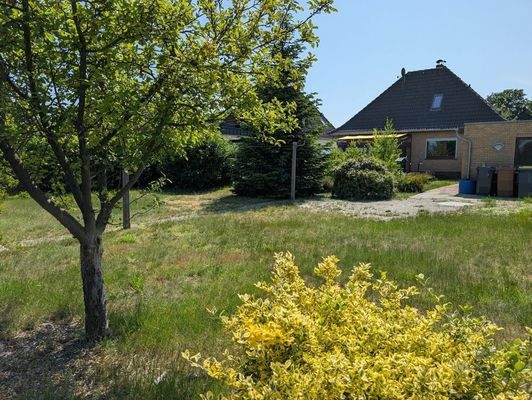 Blick in den Garten mit Rückansicht Haus