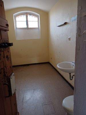 Blick in eine Einzelzelle