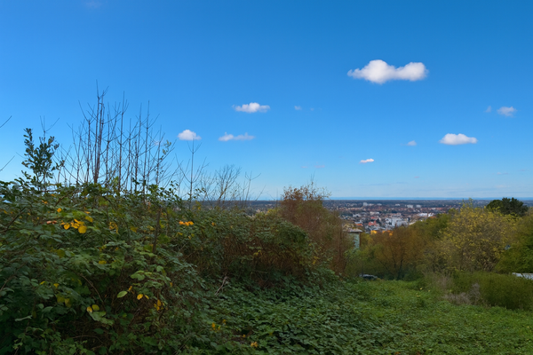 Grundstück Leimen mit Beispielprojekt von HUF HAUS (3).png