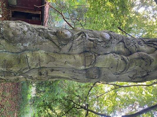 Schlosspark (16).JPG