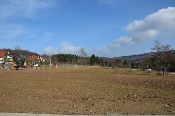 DSC_7812 (Copy).JPG
