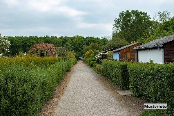 Keine Originalbilder