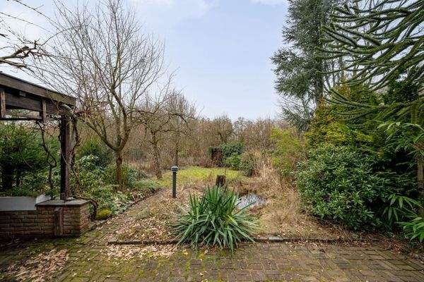 Terrasse und Blick in den großzügigen Garten