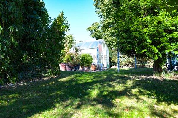 Gewächshaus hinterer Teil Garten 2en