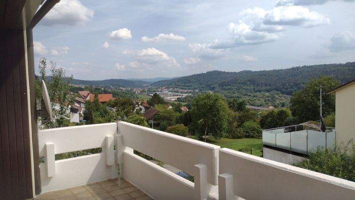 Blick vom Süd-Balkon