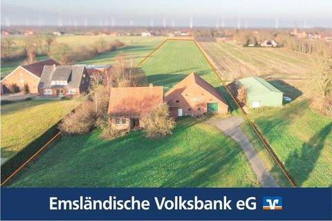 Neubörger Bauernhöfe, Landwirtschaft, Neubörger Forstwirtschaft