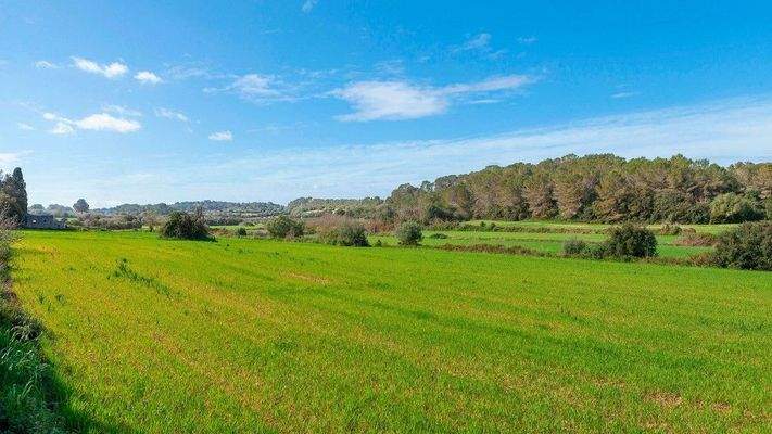 Rustikales Grundstück zum Verkauf in Muro, Mallorca
