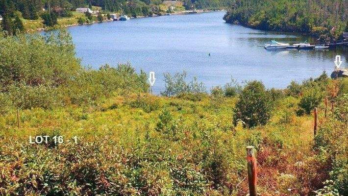 Ausblick Grundstücksmitte