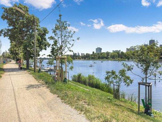 Spazier/Radweg zur U1 Alten Donau