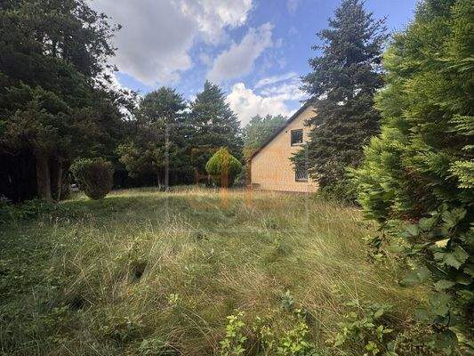 Grundstücksansicht aus Süden