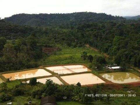 Manaus Häuser, Manaus Haus kaufen