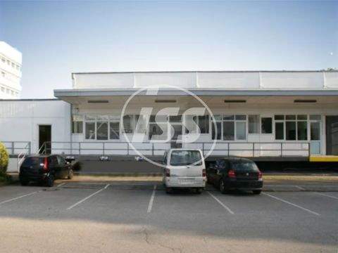 Köln Halle, Köln Hallenfläche