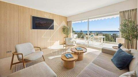 Cannes Wohnungen, Cannes Wohnung kaufen