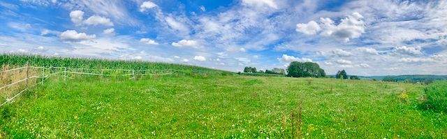 Panorama Schlossweide Hochplateau.jpeg