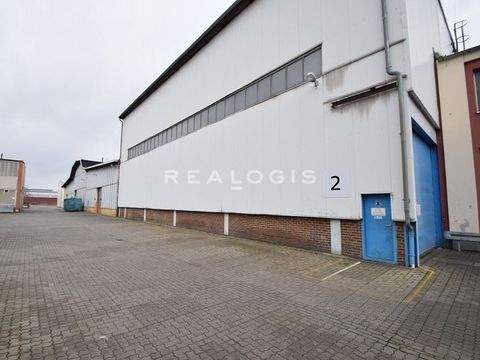 Leipzig Halle, Leipzig Hallenfläche