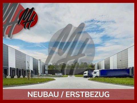 Grünstadt Halle, Grünstadt Hallenfläche