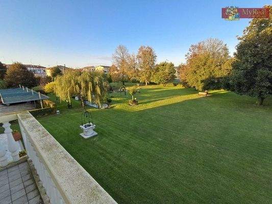 Grundstück mit altem baumbestand