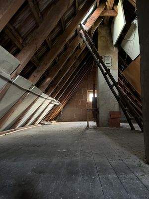 WhatsApp Image 2025-11-19 at 10.53.15 (7).jpeg