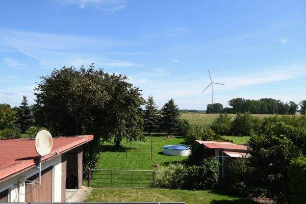 Blick in den Hof- und Gartenbereich