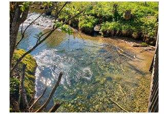 Bach im Sommer