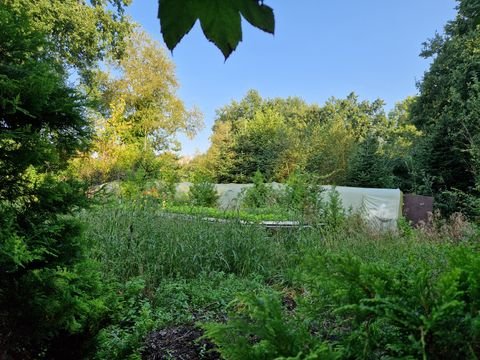 Sedelsberg Grundstücke, Sedelsberg Grundstück kaufen